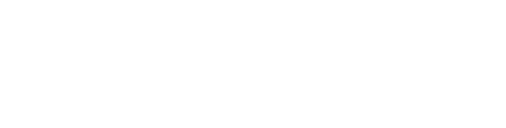 LeviMotor